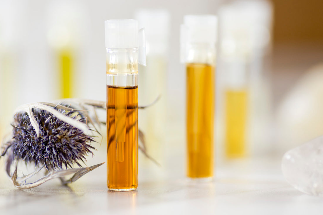 Non Toxic Perfume Exploration Event