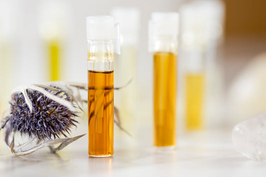 Non Toxic Perfume Exploration Event
