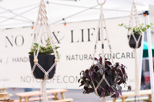 No Tox Life featured on Japanese Fuji TV with Smorgasburg Los Angeles