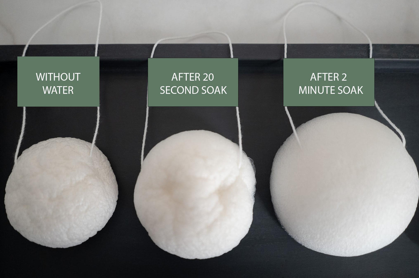 LUNA Facial Sponge - White - No Tox Life® - NO TOX LIFE