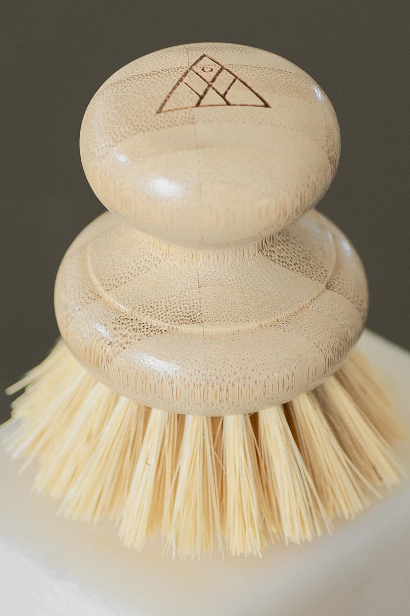 CASA AGAVE® Dish Brush - No Tox Life® - NO TOX LIFE