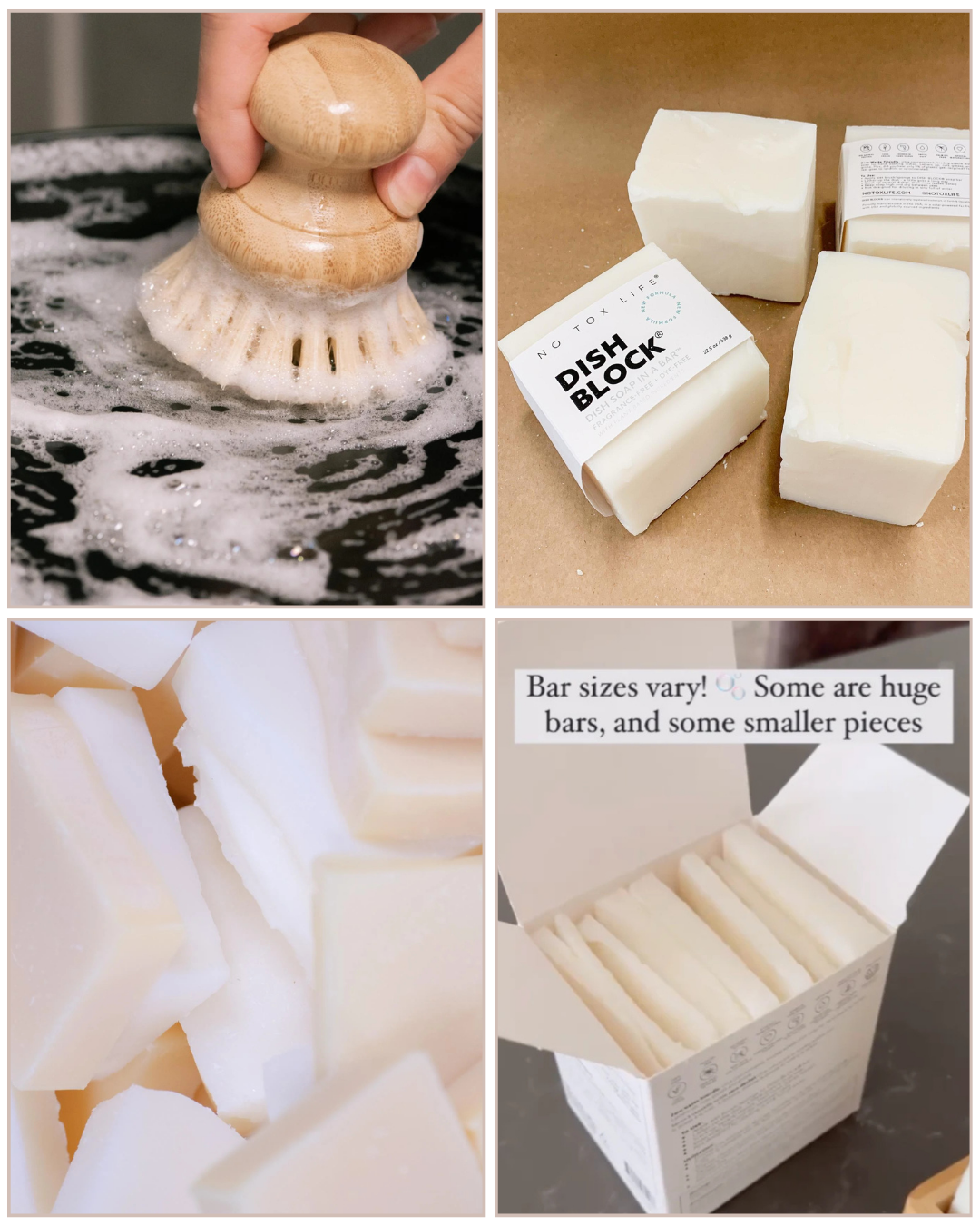 Imperfect DISH BLOCK® box (2 pack) and brush set