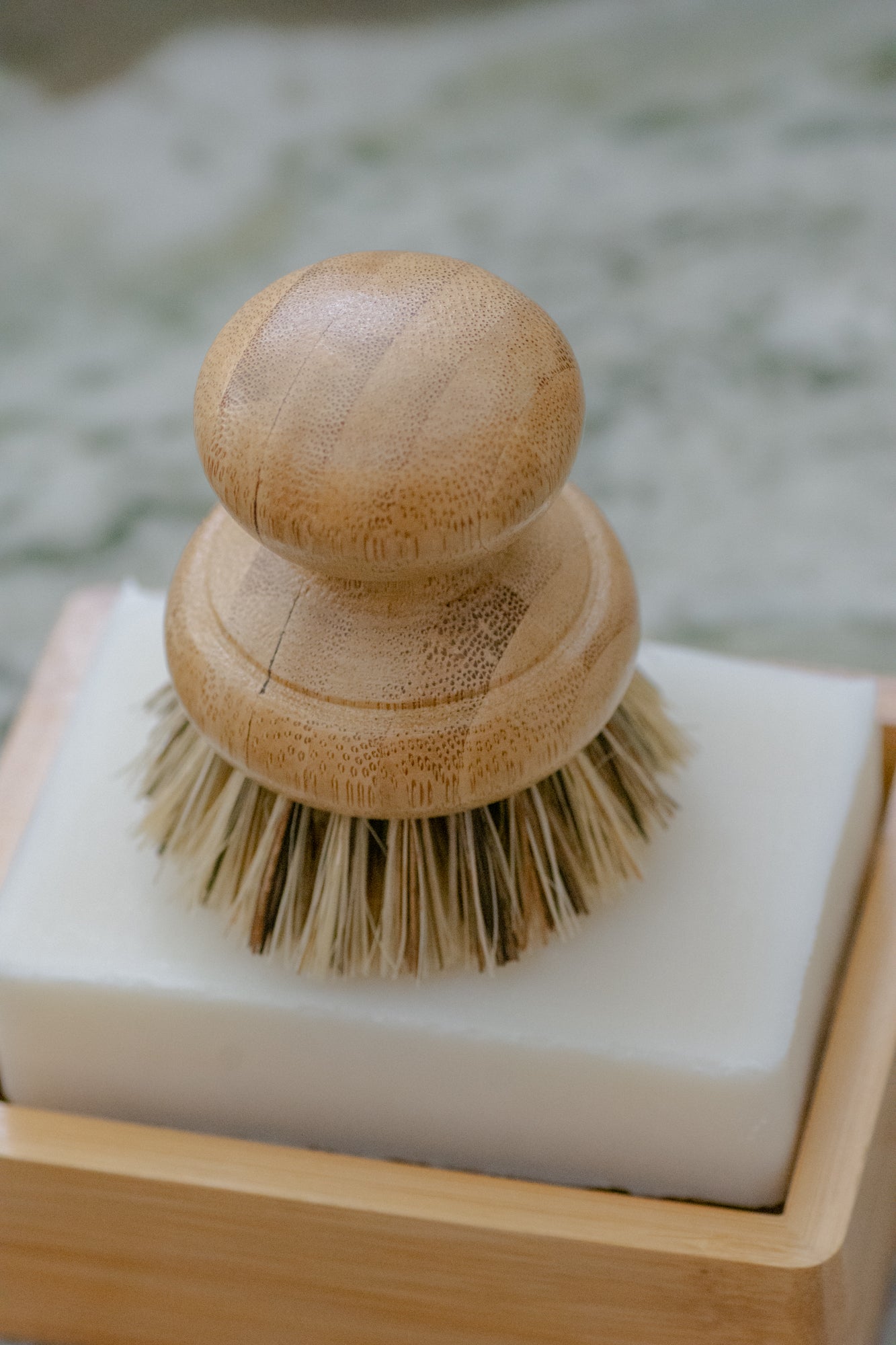 CASA AGAVE® Pot Brush - No Tox Life® - NO TOX LIFE