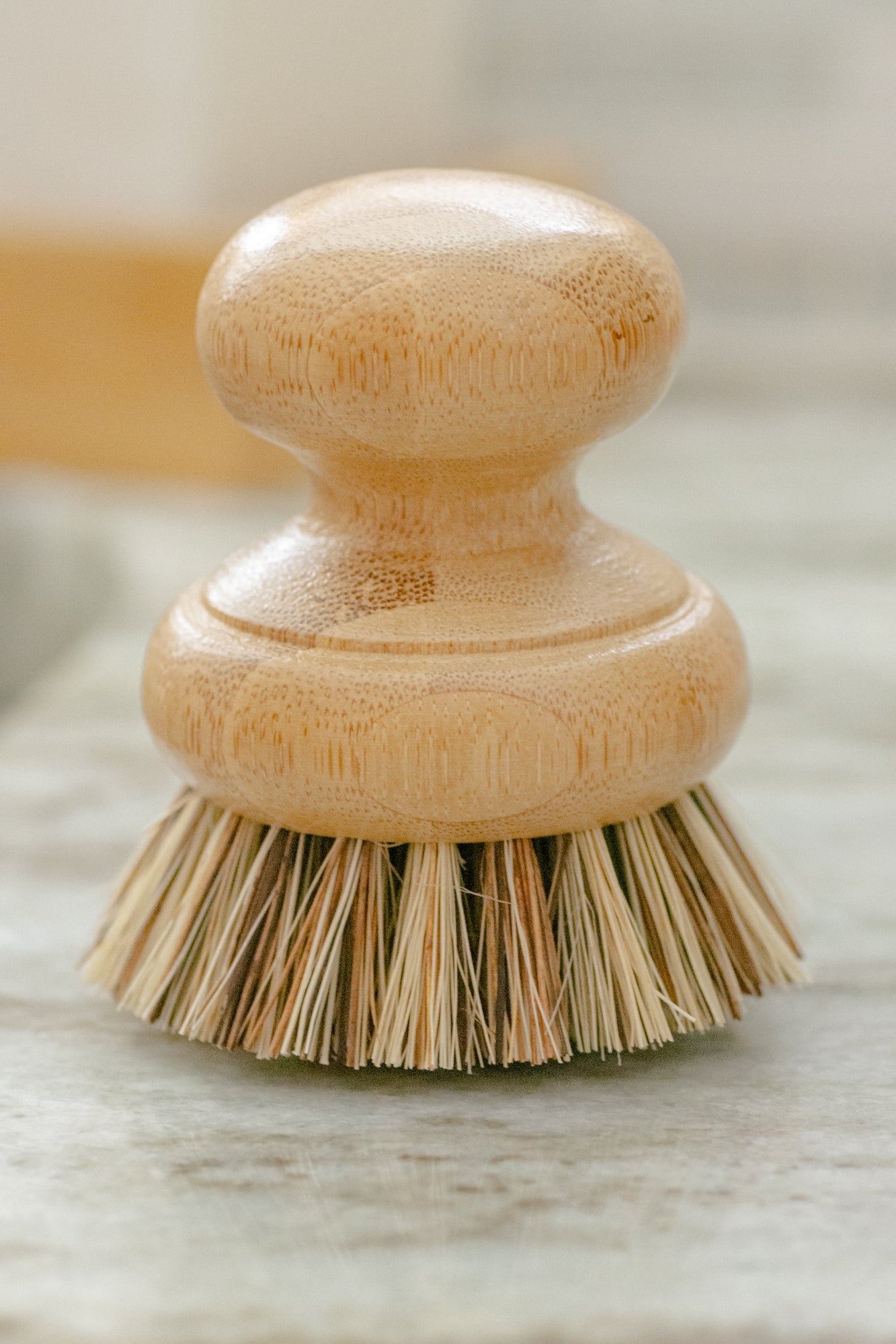 CASA AGAVE® Pot Brush - No Tox Life® - NO TOX LIFE