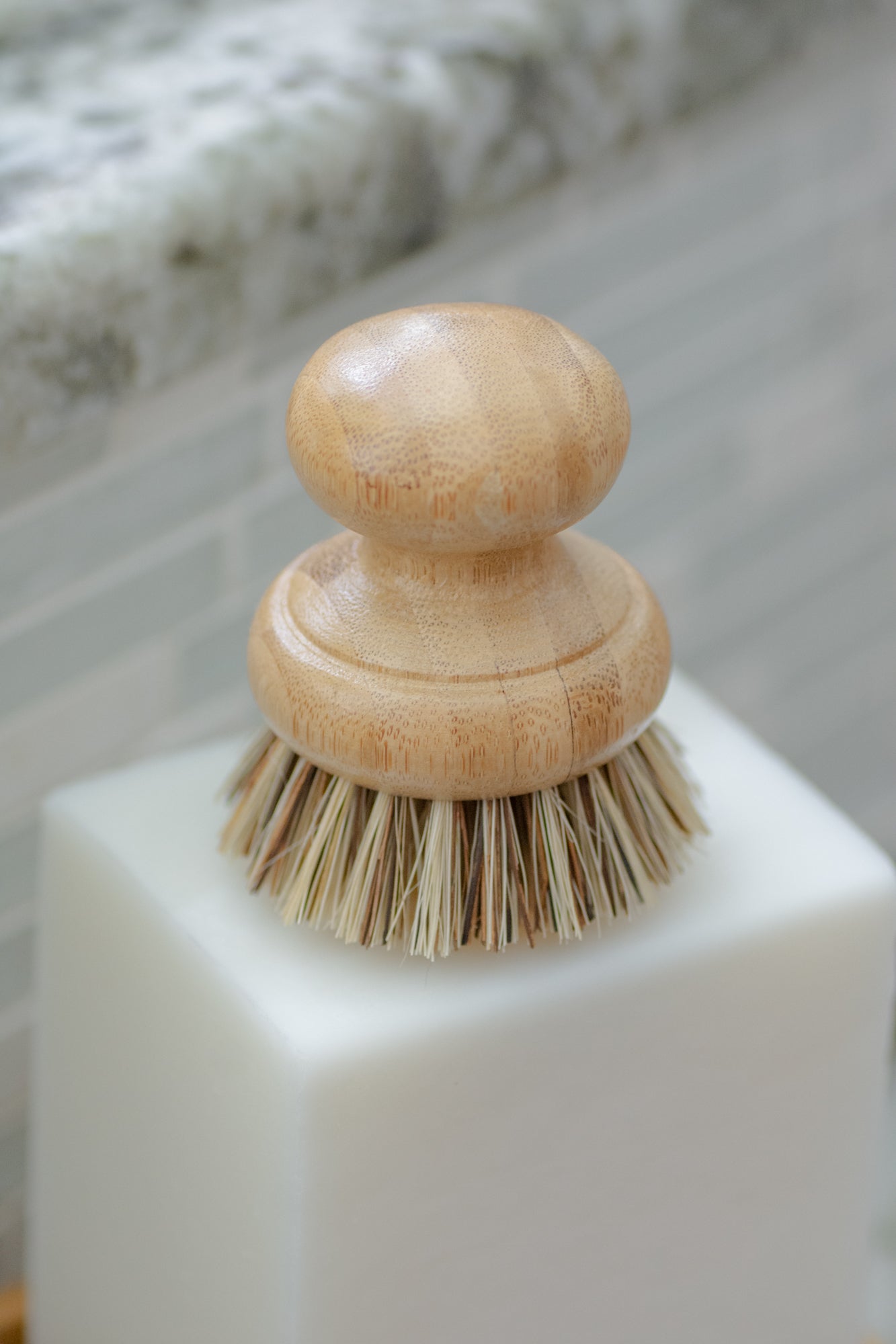 CASA AGAVE® Pot Brush - No Tox Life® - NO TOX LIFE