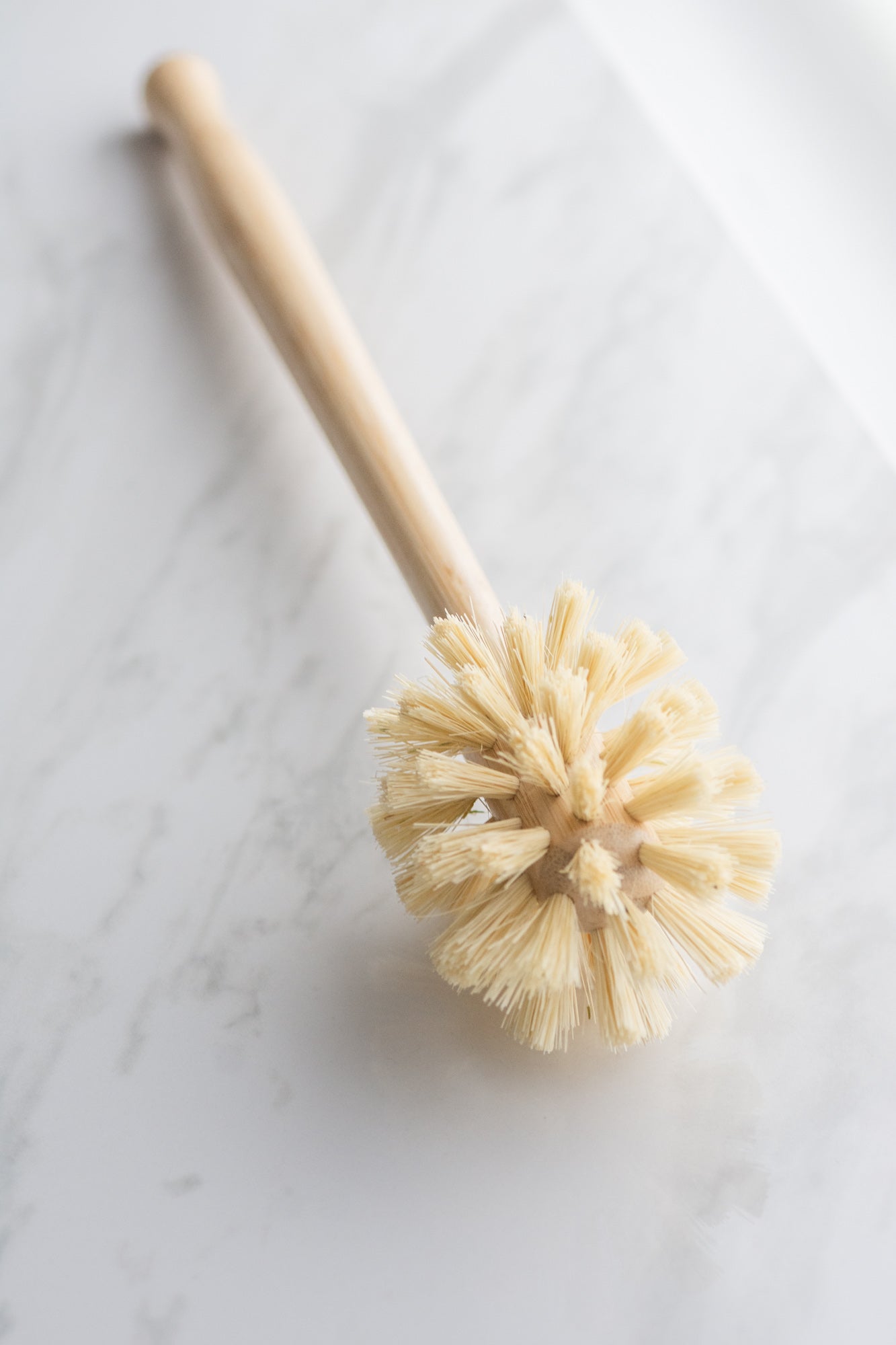 CASA AGAVE® Sphere Dish Brush - Bundle of 2 - No Tox Life®