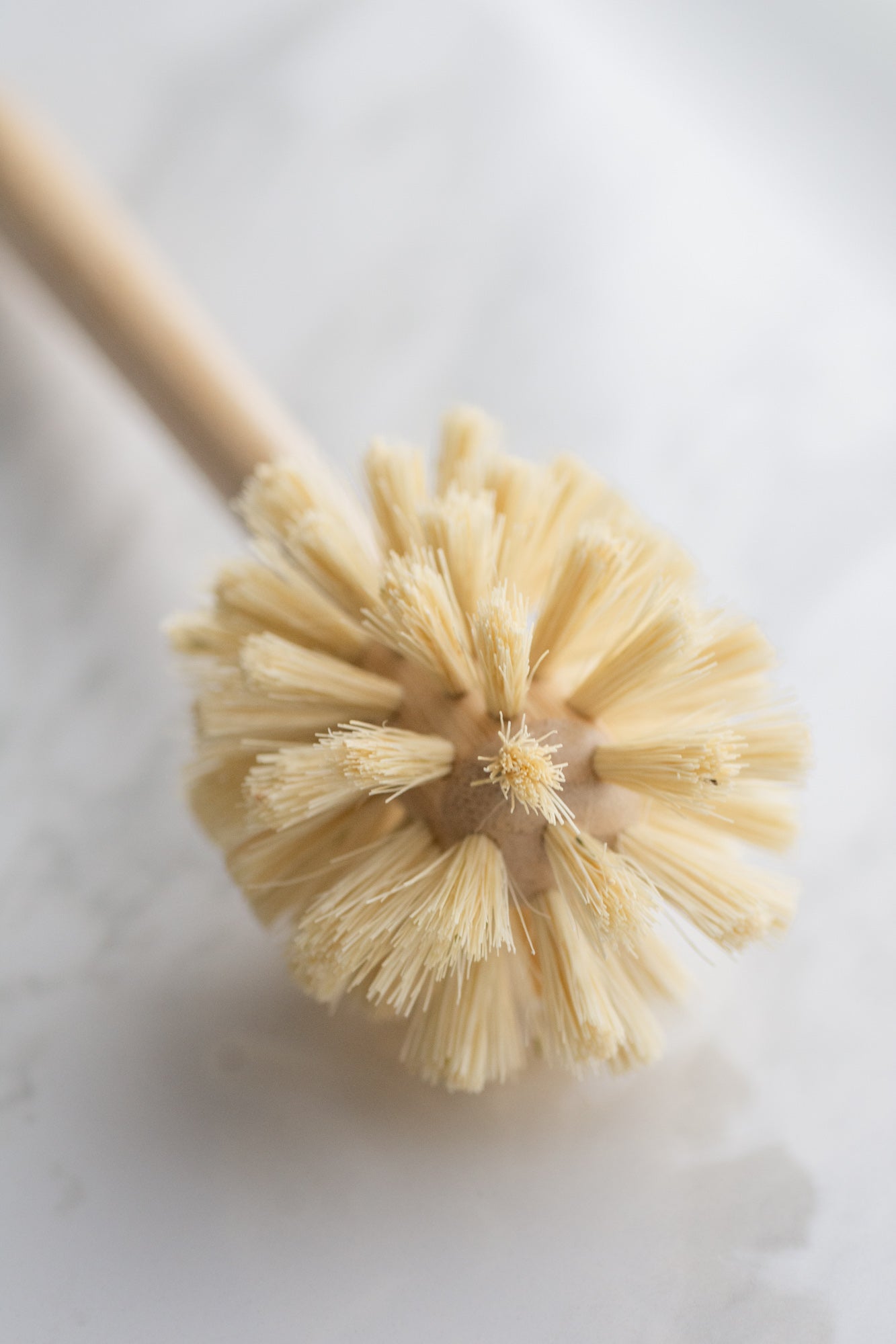 CASA AGAVE® Sphere Dish Brush - Bundle of 2 - No Tox Life®