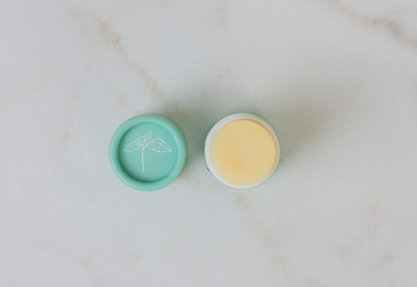 SOLIDSILK® Lip Butter - Sweet Mint - Pack of 6 - No Tox Life® - NO TOX LIFE