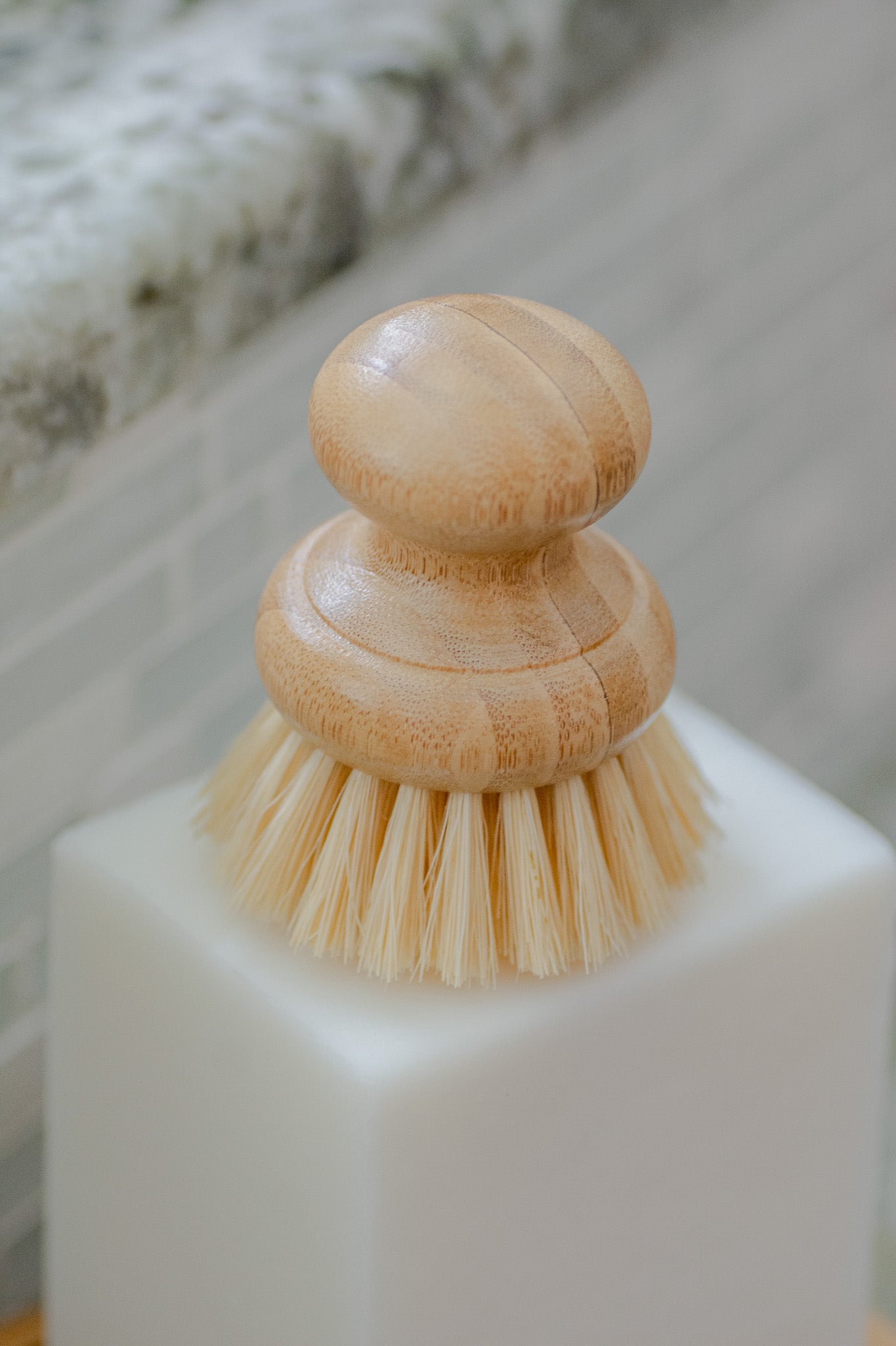CASA AGAVE® Dish Brush - No Tox Life® - NO TOX LIFE