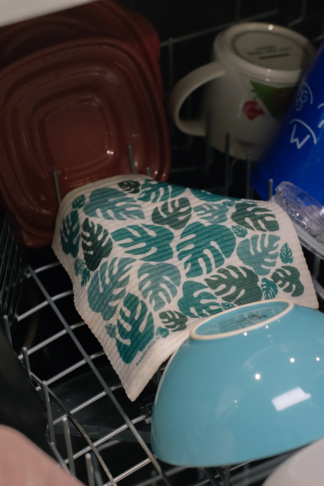 WASHCLOUD® - Mystery Pattern - No Tox Life® - NO TOX LIFE