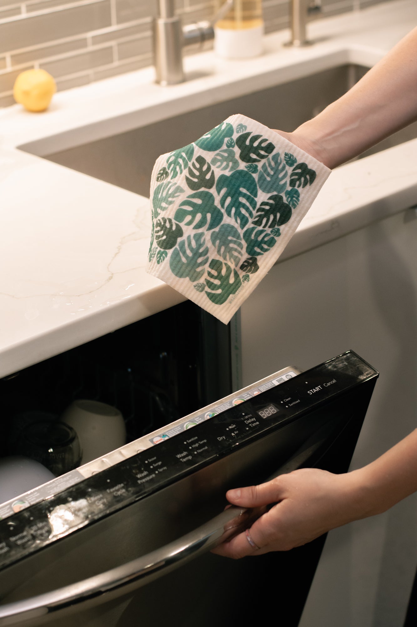 WASHCLOUD® - Mystery Pattern - No Tox Life® - NO TOX LIFE