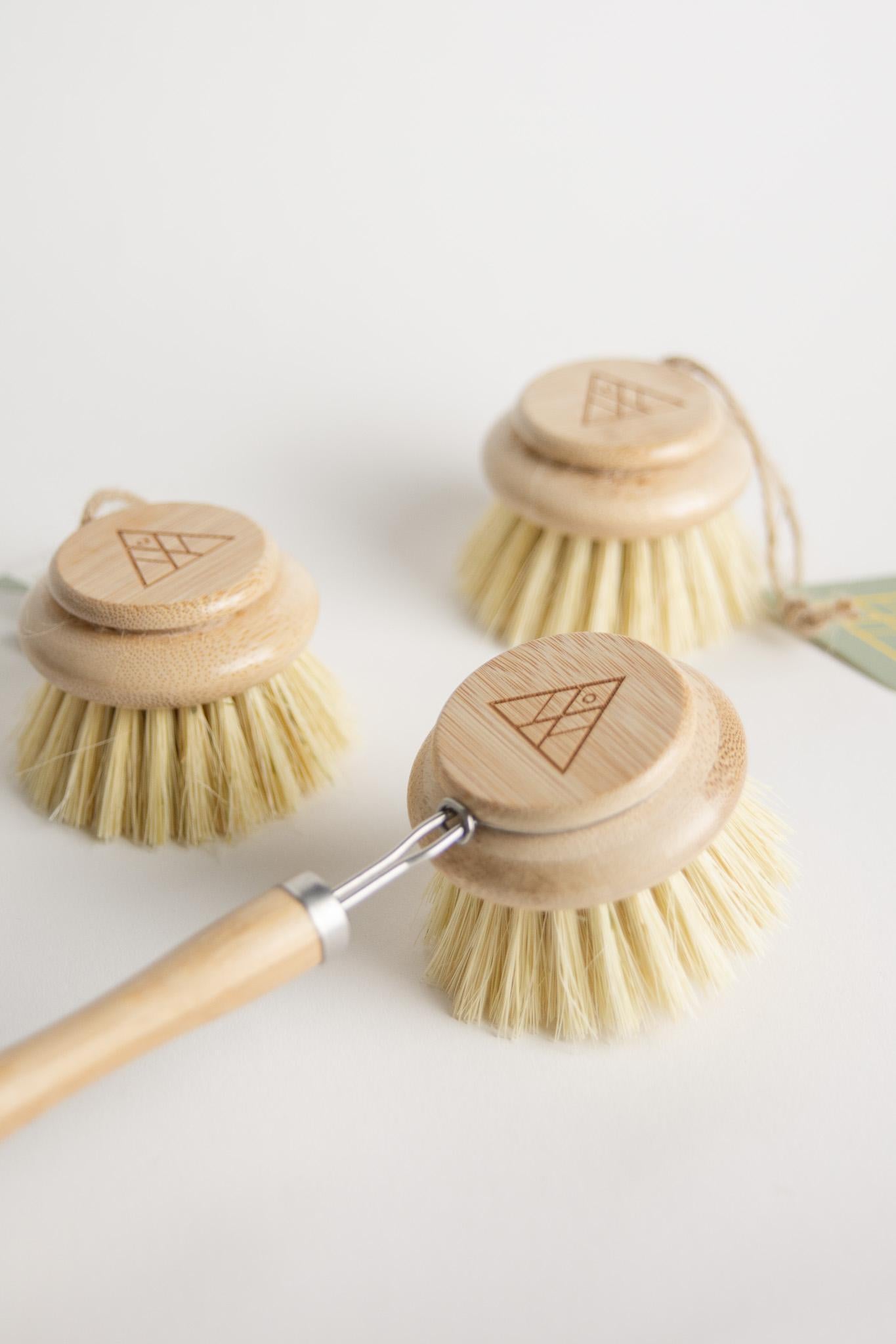 CASA AGAVE® - Replacement Head - No Tox Life® - NO TOX LIFE