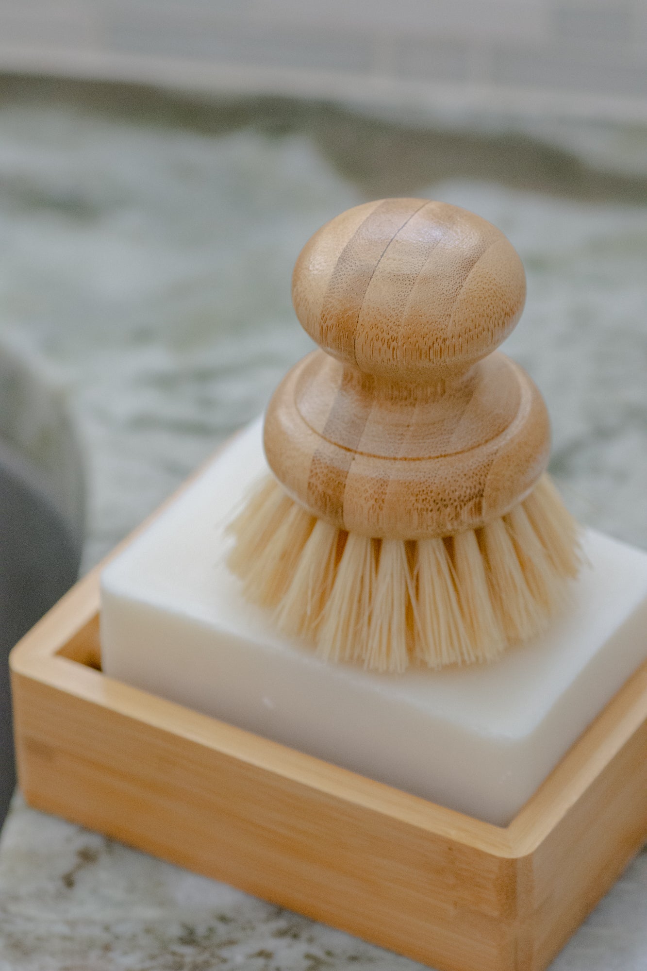 CASA AGAVE® Dish Brush - No Tox Life® - NO TOX LIFE