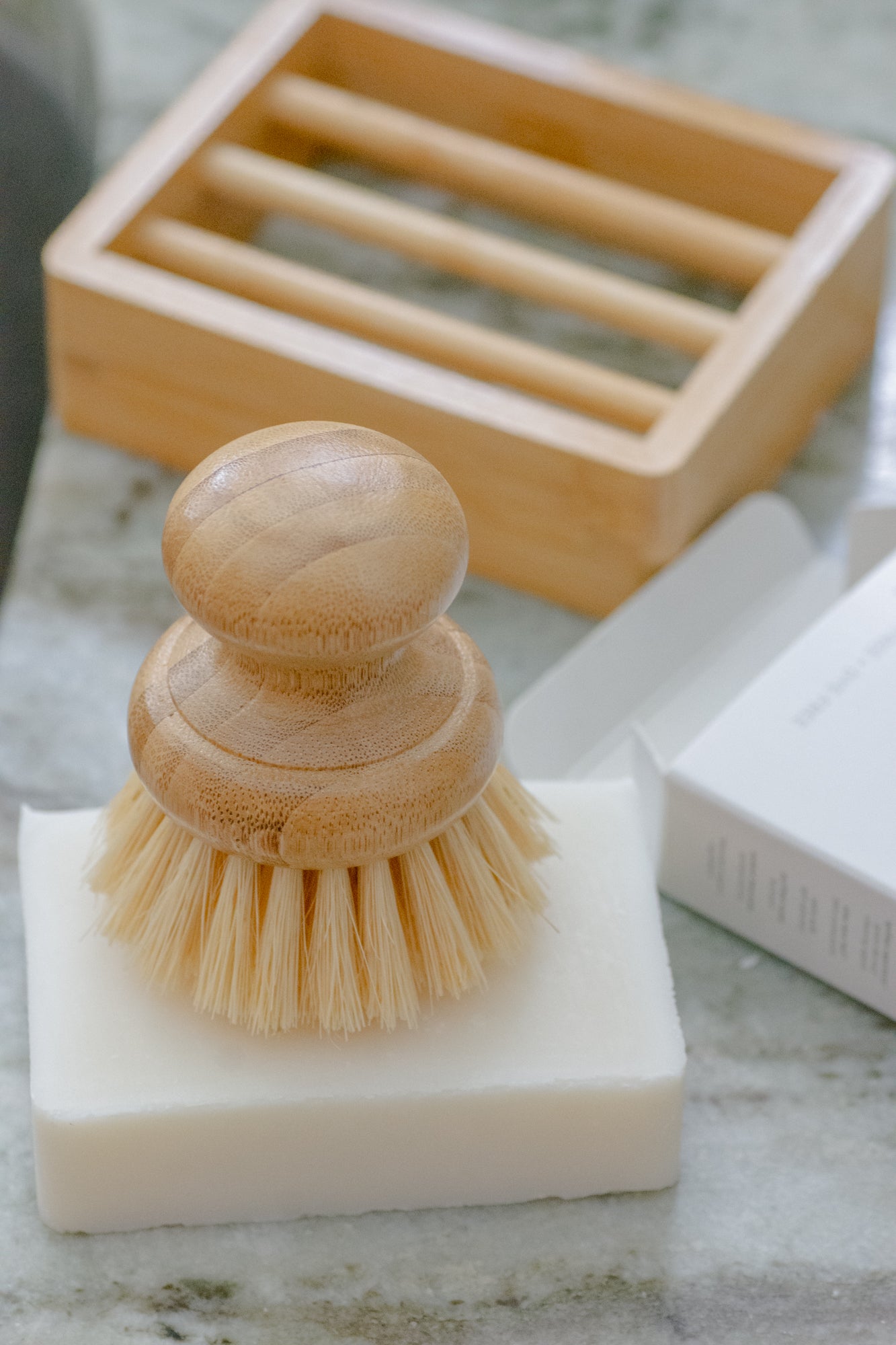 CASA AGAVE® Dish Brush - No Tox Life® - NO TOX LIFE