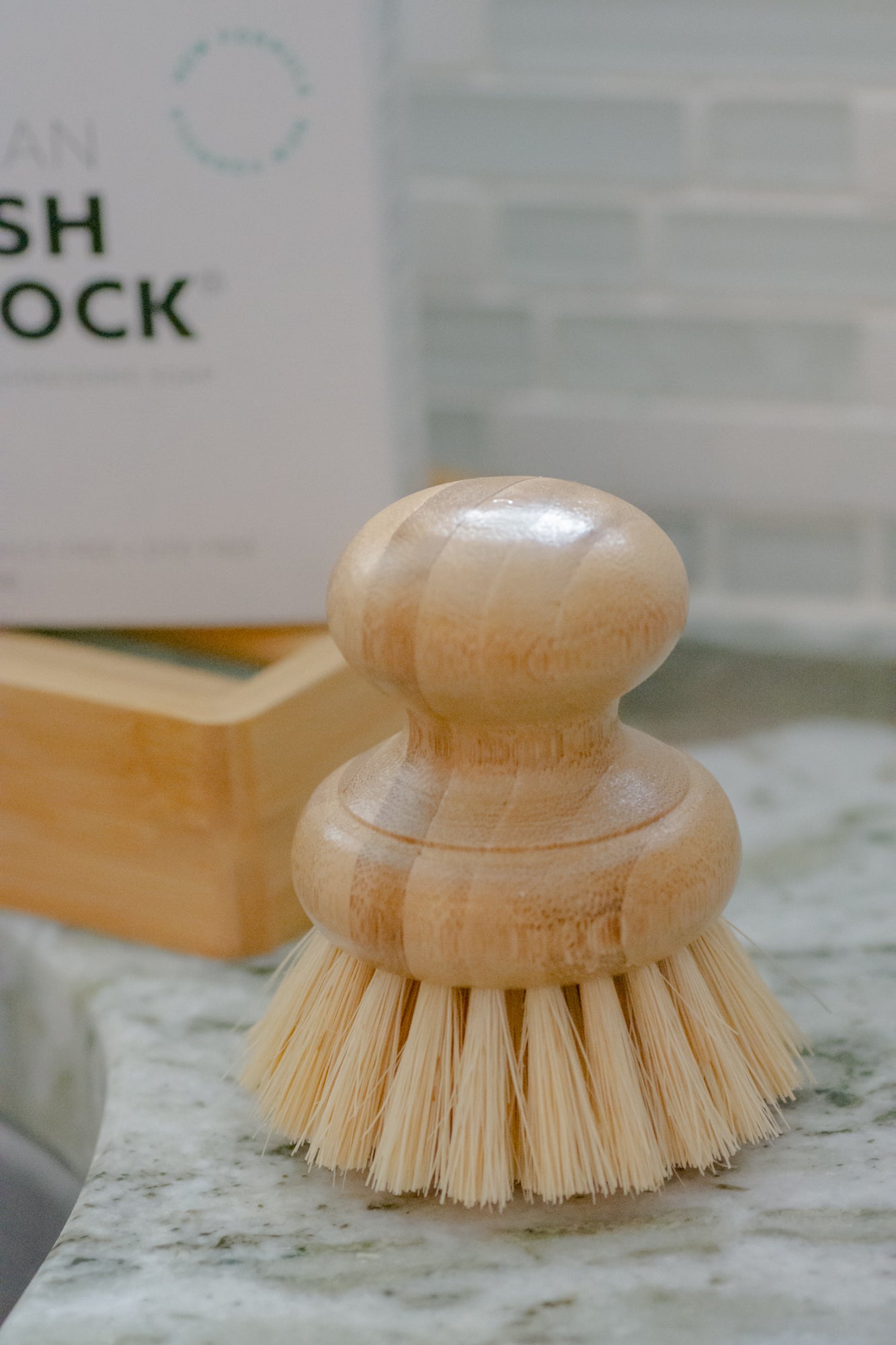 CASA AGAVE® Dish Brush - No Tox Life® - NO TOX LIFE