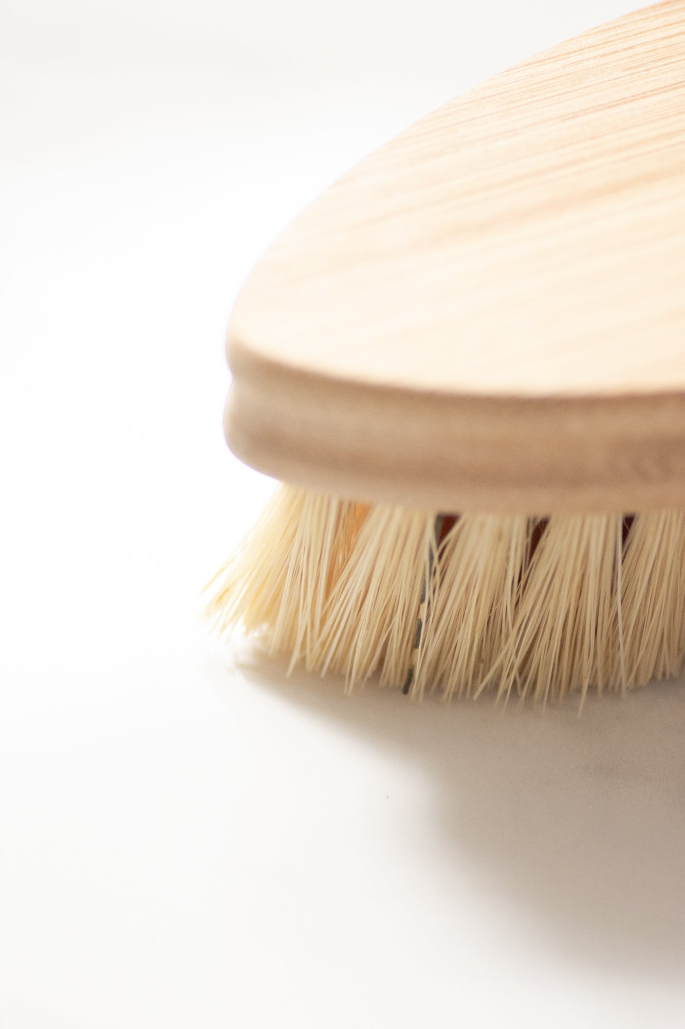 CASA AGAVE® Duo Tone Vegetable Brush | General Cleaning - No Tox Life® - NO TOX LIFE