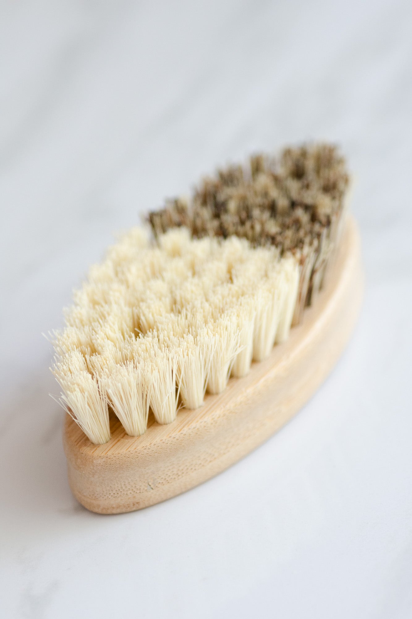 CASA AGAVE® Duo Tone Vegetable Brush | General Cleaning - No Tox Life® - NO TOX LIFE