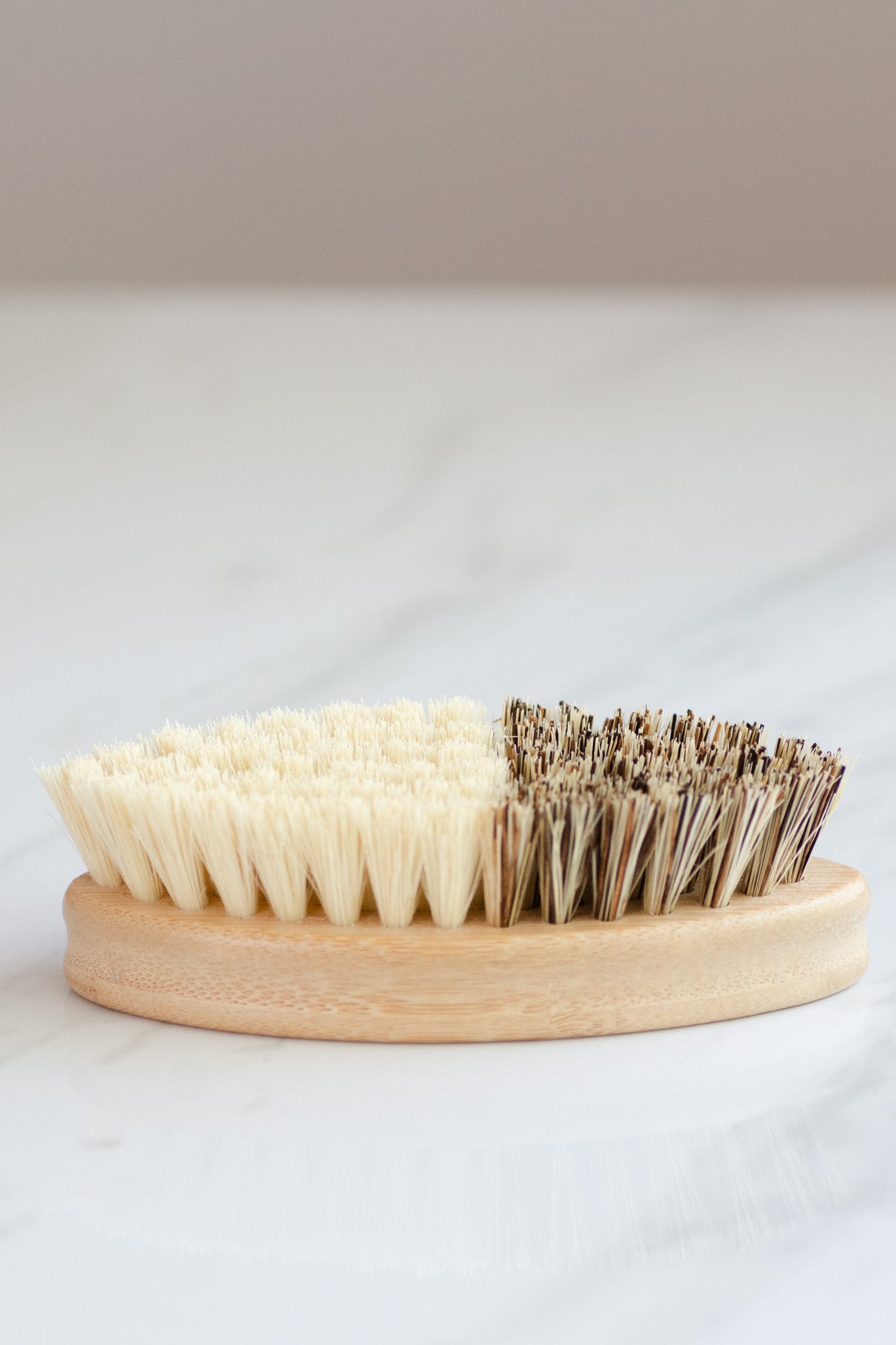 CASA AGAVE® Duo Tone Vegetable Brush | General Cleaning - No Tox Life® - NO TOX LIFE