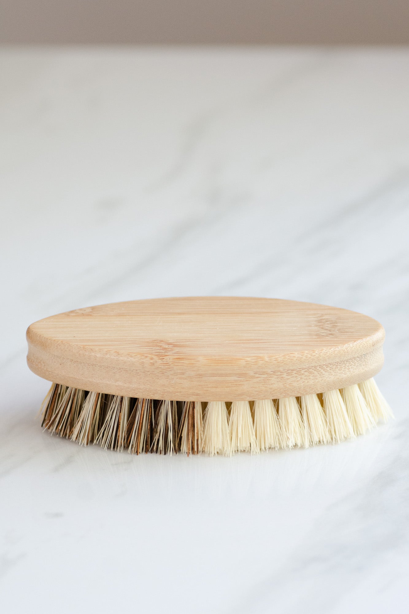 No Tox Life Casa Agave Pot Scrubber Brush