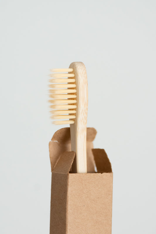 Moso Bamboo Toothbrush - Family Size - 10 Pack - No Tox Life® - NO TOX LIFE