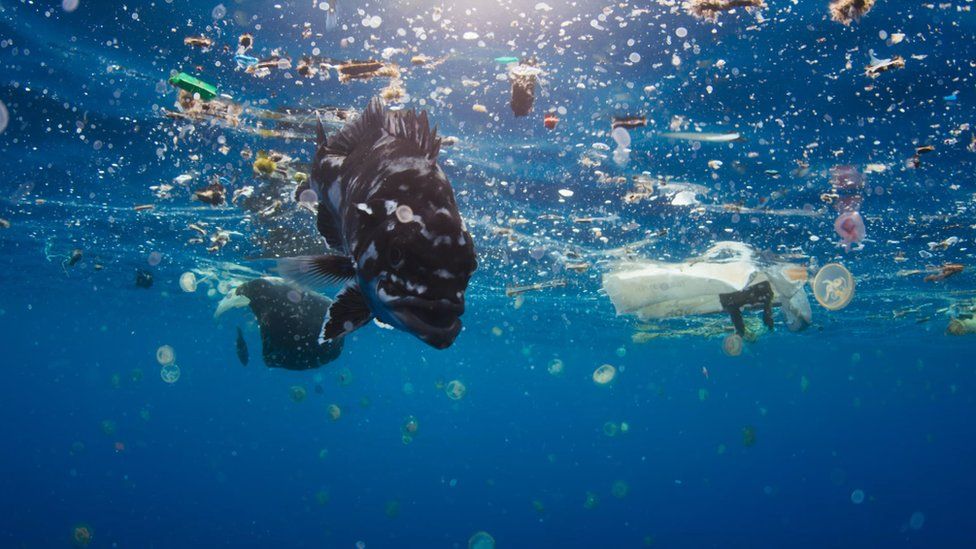 Three Must-See Documentaries About Plastic Pollution