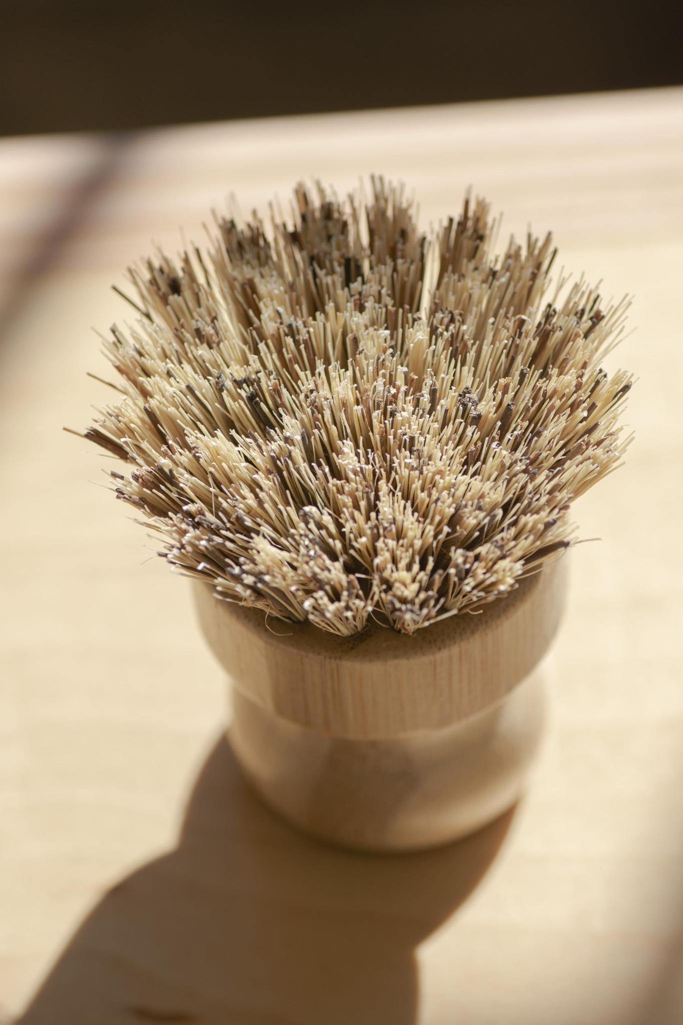 CASA AGAVE® Pot Brush White Teakwood - No Tox Life®