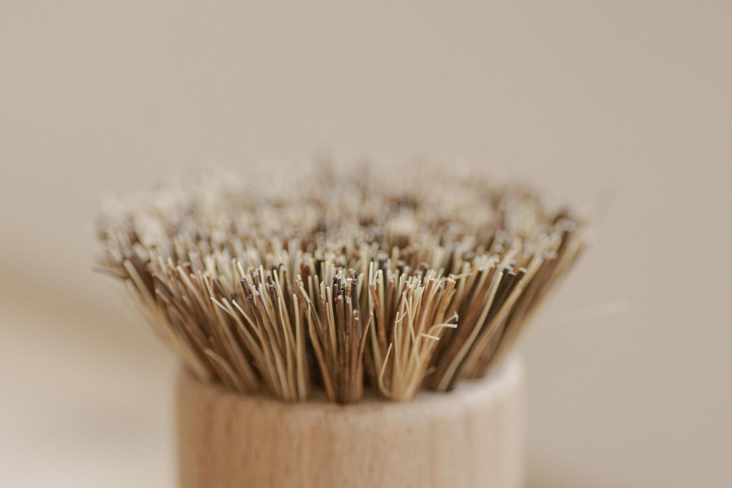 CASA AGAVE® Pot Brush White Teakwood - No Tox Life®