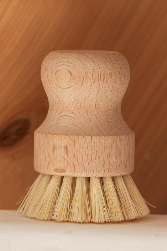 CASA AGAVE® Dish Brush (Petite) - No Tox Life®