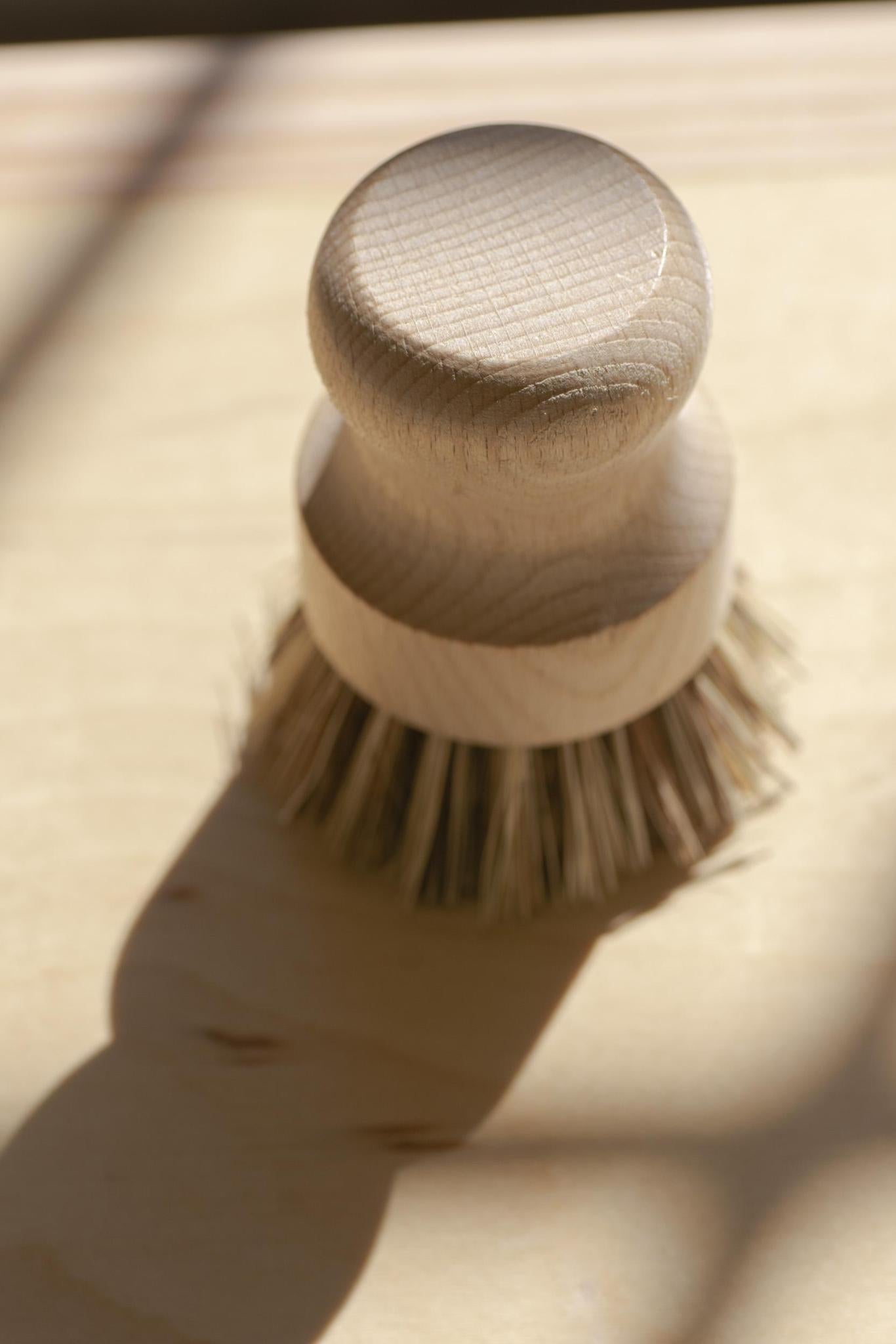 CASA AGAVE® Pot Brush White Teakwood - No Tox Life®