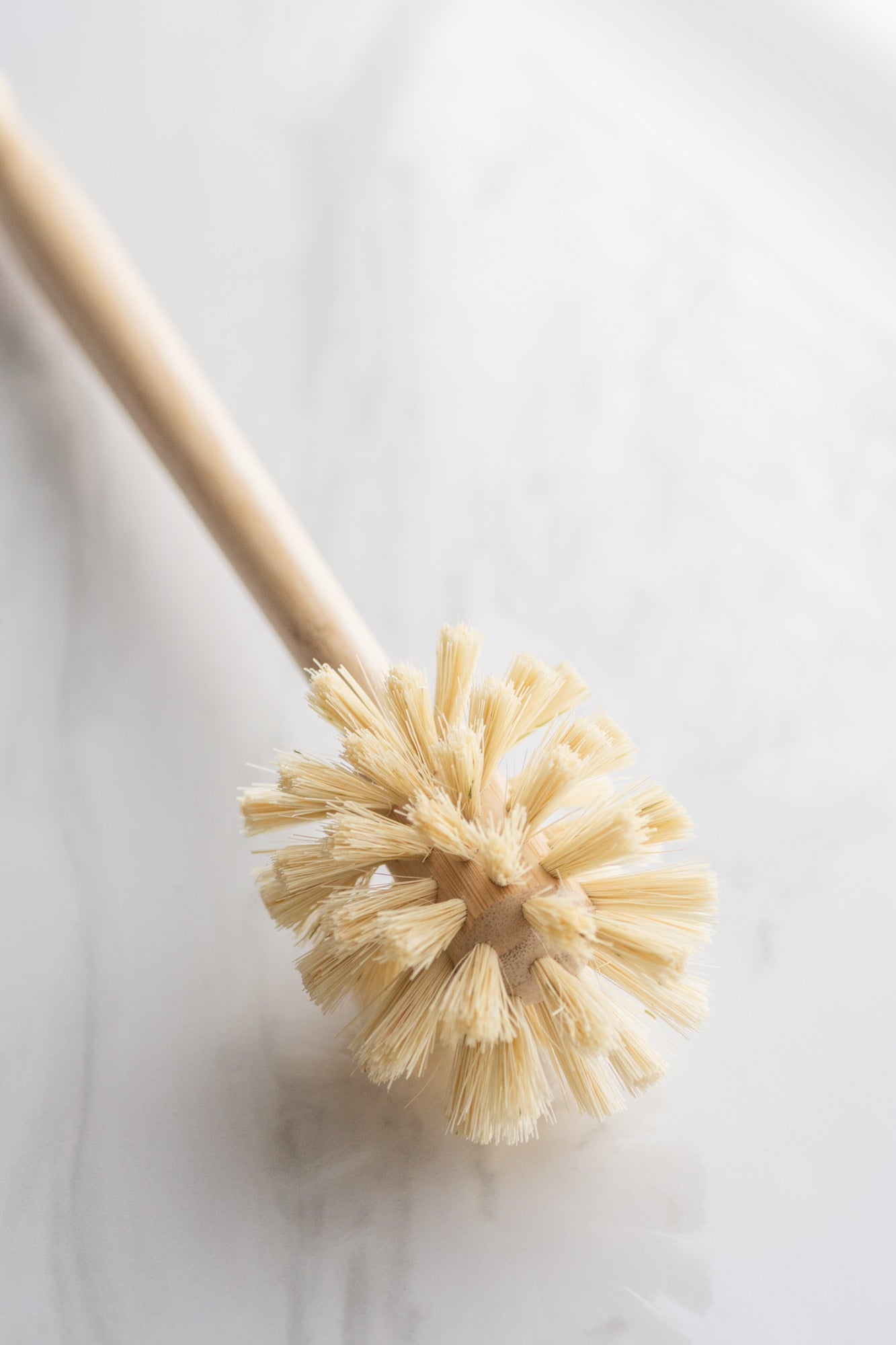 CASA AGAVE® Sphere Dish Brush - No Tox Life® - NO TOX LIFE
