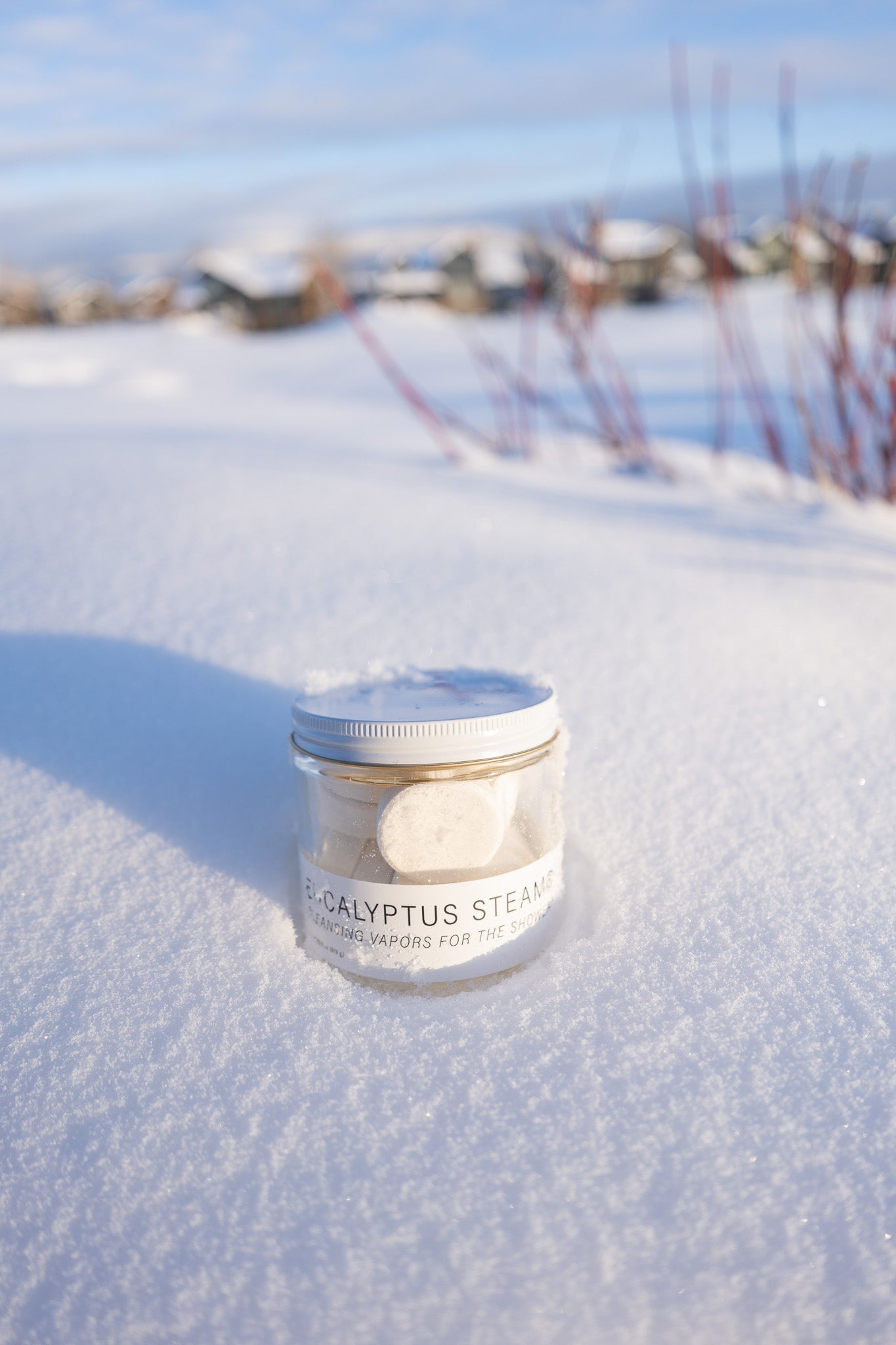 EUCALYPTUS STEAM® Cleansing vapors for the shower® - Grande Jar - No Tox Life®