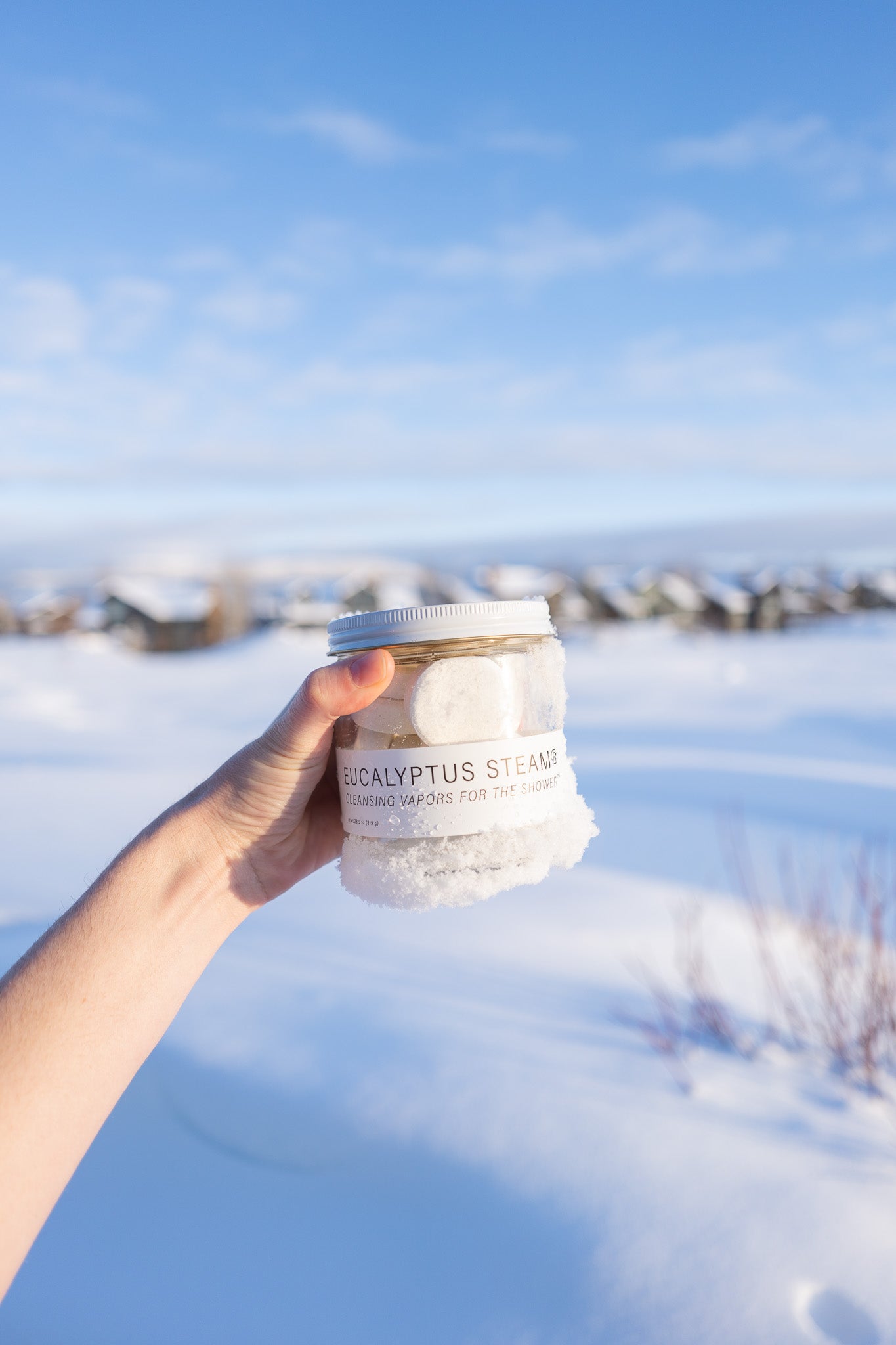 EUCALYPTUS STEAM® Cleansing vapors for the shower® - Grande Jar - No Tox Life®