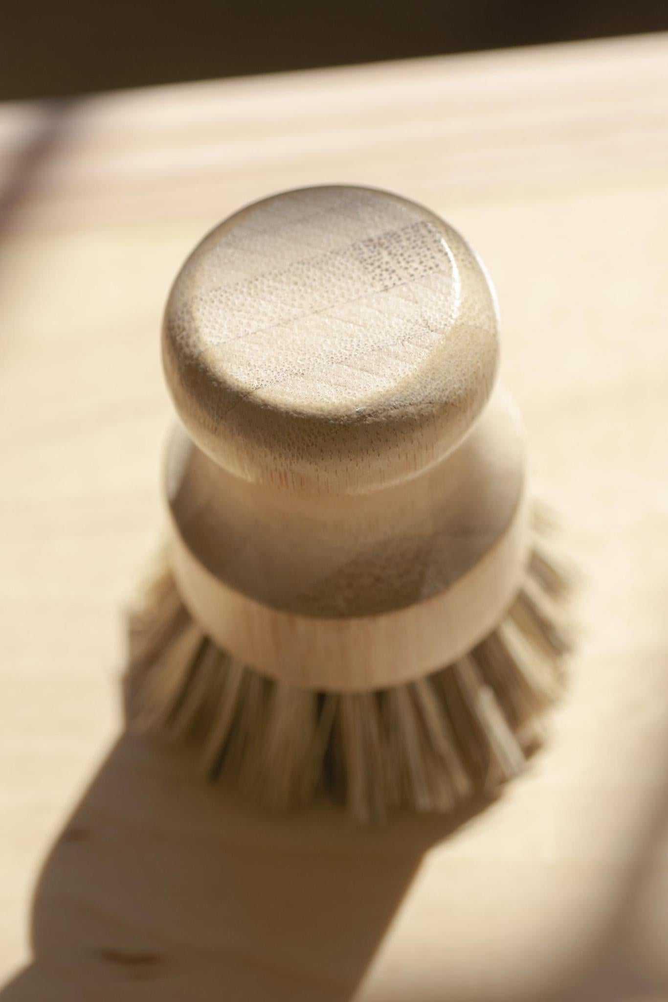 CASA AGAVE® Pot Brush White Teakwood - No Tox Life®