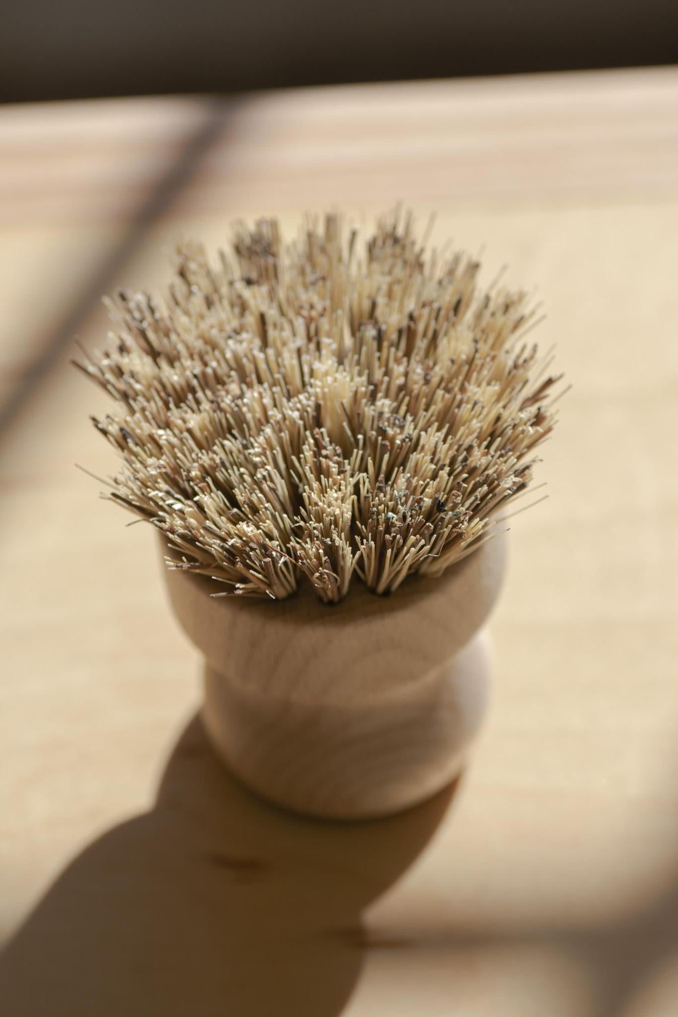 CASA AGAVE® Pot Brush White Teakwood - No Tox Life®