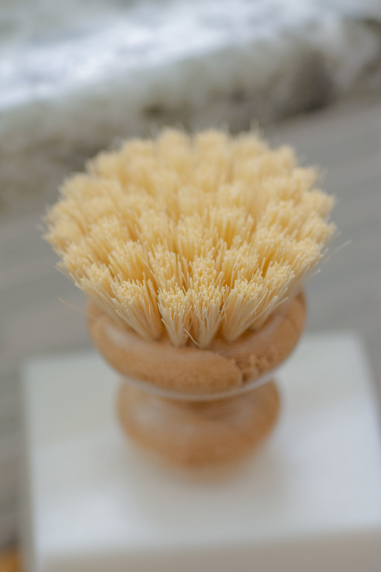 CASA AGAVE® Dish Brush – NO TOX LIFE