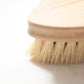 CASA AGAVE® Duo Tone Vegetable Brush | General Cleaning