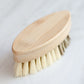CASA AGAVE® Duo Tone Vegetable Brush | General Cleaning