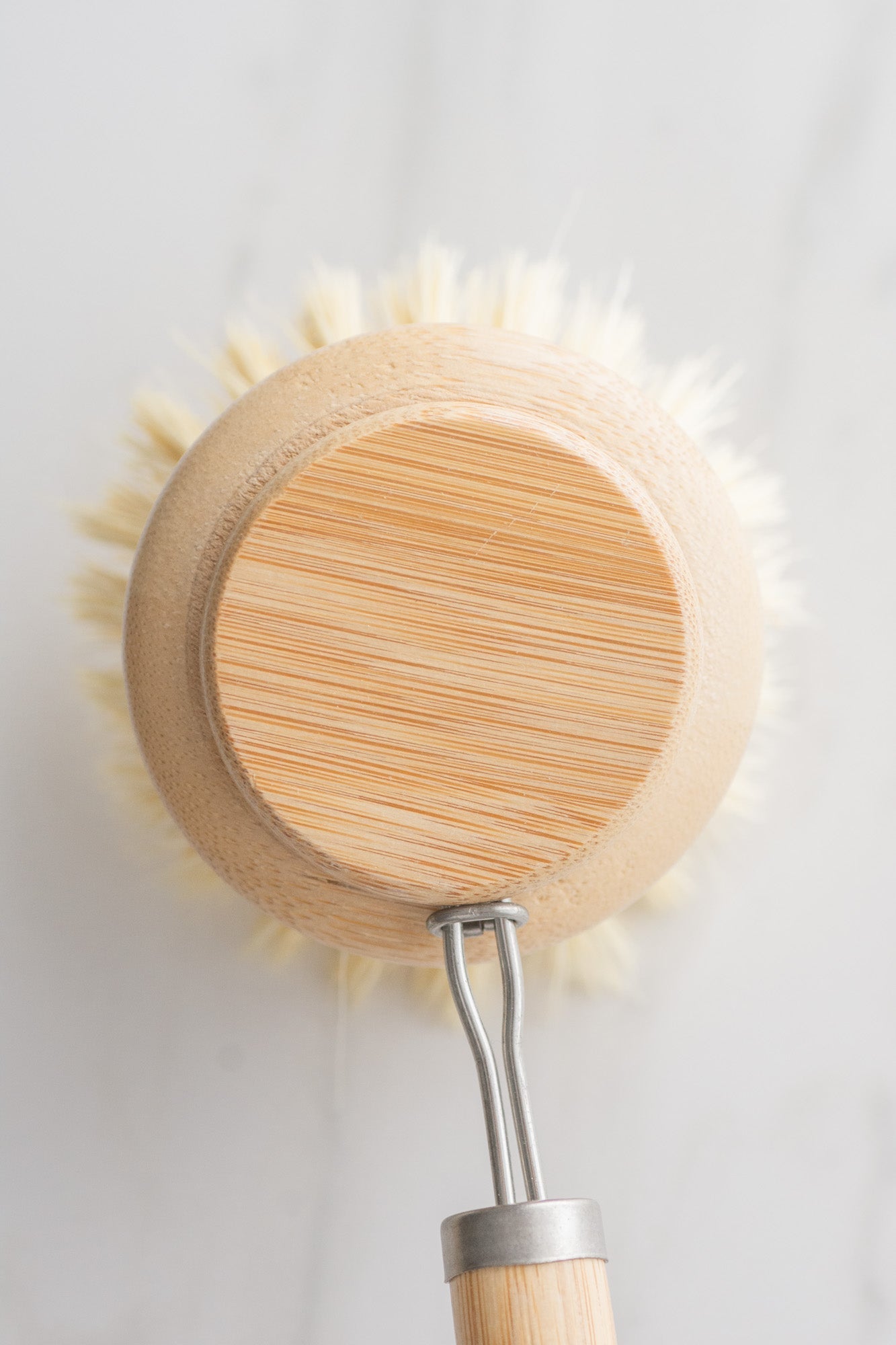 CASA AGAVE® Brosse à vaisselle à long manche avec tête remplaçable - NOUVEAU