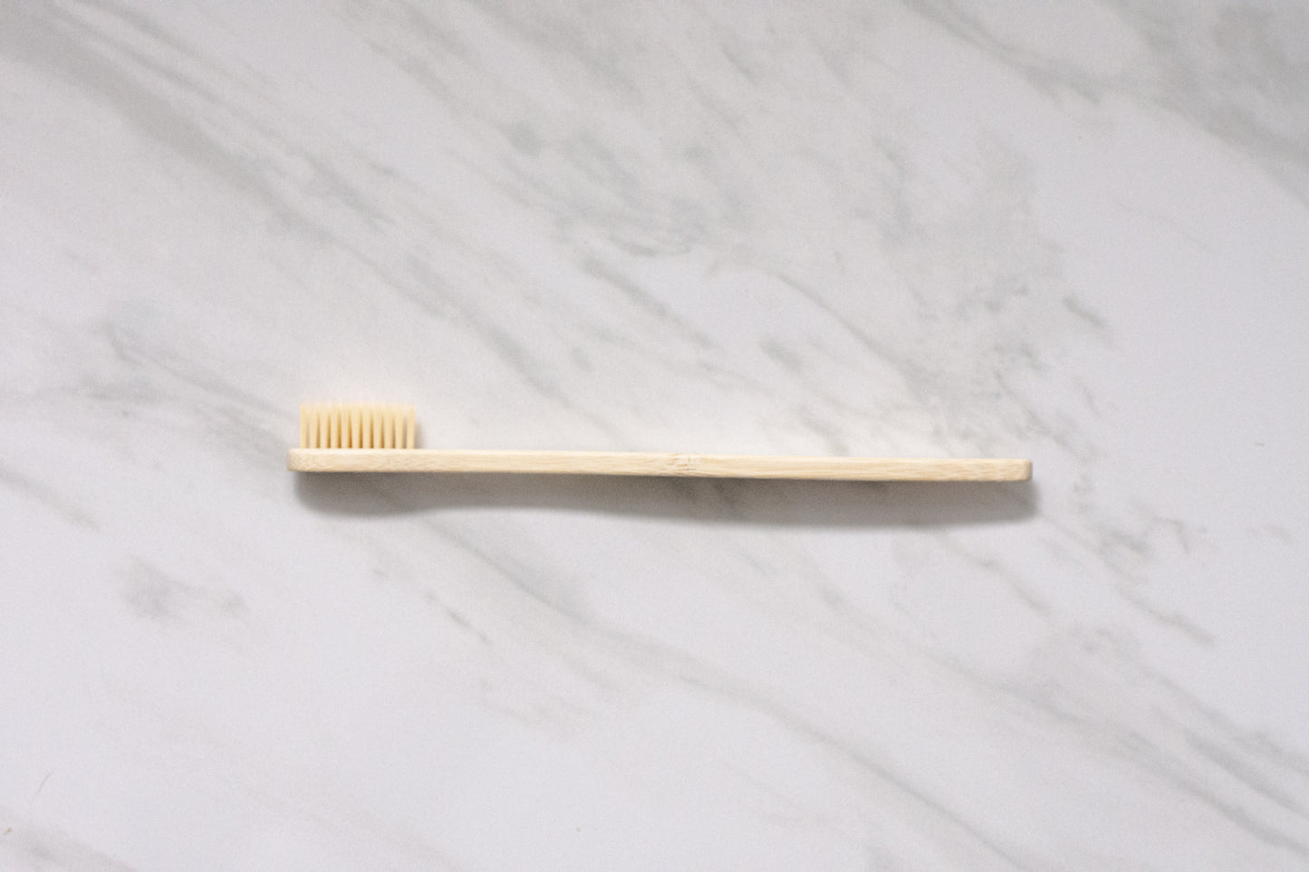 Brosse à Dents en Bambou - Ensemble de Vente Taille Familiale - Paquet de 10