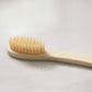 Bamboo Toothbrush - Family Size Sale Bundle - 10 Pack